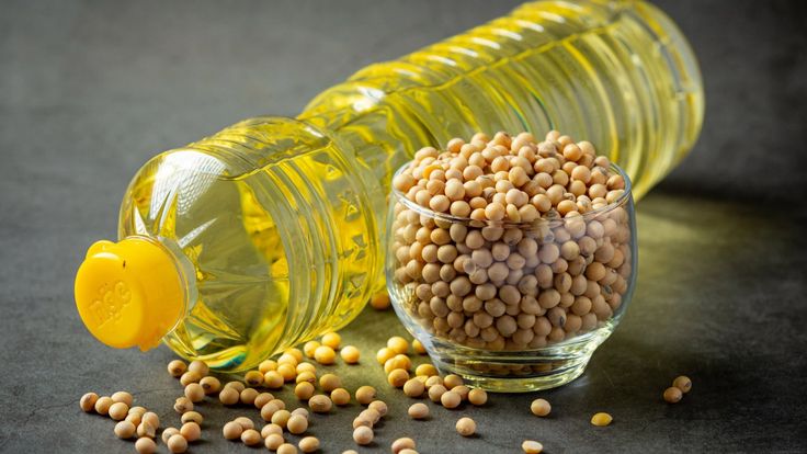 Iranian Soybean Oil Varieties Explained; Refined, Crude, Organic, and High-Oleic